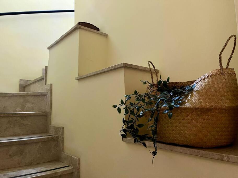 Apartamento Suite Alameda De Hercules Севиля Екстериор снимка